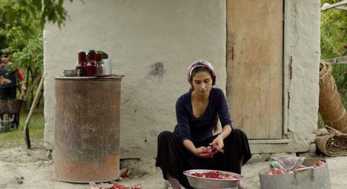 İnsanları yaşamağa çağıran film… - Samirə Əşrəf İnsanları yaşamağa çağıran film… - Samirə Əşrəf