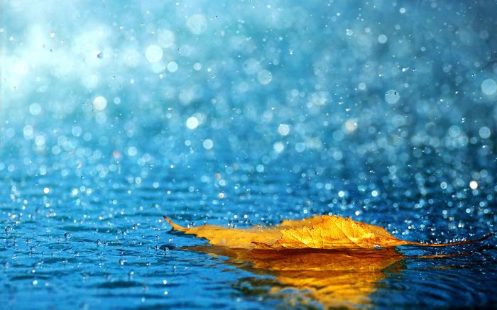 Və birdən anlarsan ki, heç nə... quruca adsan... - Sabir YUSİFOĞLU - şeirlər Və birdən anlarsan ki, heç nə... quruca adsan... - Sabir YUSİFOĞLU - şeirlər