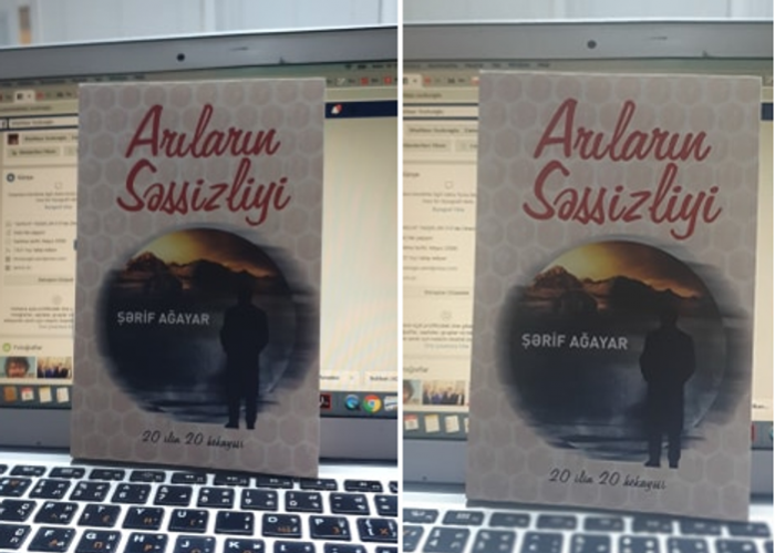 “Arıların səssizliyi” işıq üzü gördü “Arıların səssizliyi” işıq üzü gördü