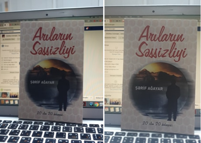 “Arıların səssizliyi” işıq üzü gördü