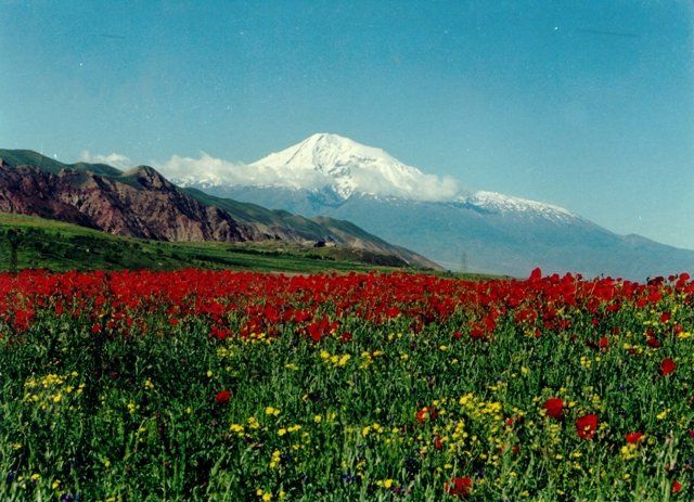 "Dünya belə qalmaz" demişdik - Adil CƏMİL