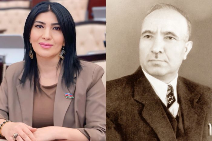 Mir Cəlal Paşayevin nəsr düşüncələri: ideal və imkanlar - Elnarə AKİMOVA Mir Cəlal Paşayevin nəsr düşüncələri: ideal və imkanlar - Elnarə AKİMOVA