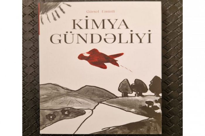 Mərhum yazıçı Günel Eminlinin "Kimya gündəliyi" adlı kitabı çap edilib