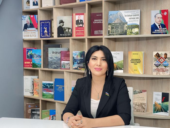 İstiqlal yolu: milli məfkurədən müstəqil dövlətə