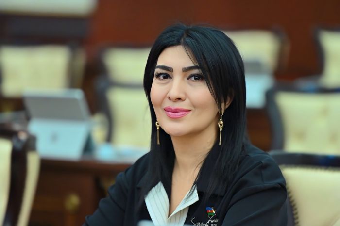 Qurtuluşdan başlanan Zəfər yolumuz - Elnarə AKİMOVA