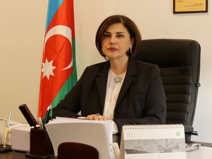 Elçin itkisi - Afaq MƏSUD