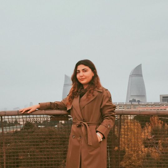 "Fətəli fəthi" romanında mövzu palitrası, tarixi duyum və janr özəllikləri - Fidan VAHİD