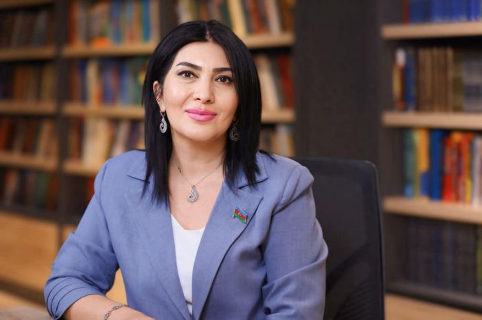 8 noyabr - ən yeni Azərbaycanın başlandığı tarix - Elnarə AKİMOVA