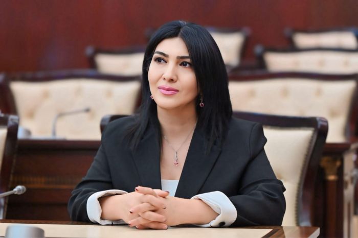 İlham Əliyev - ədalətin, sülhün və milli qürurun səsi - Elnarə AKİMOVA