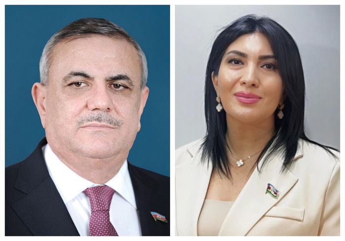 Varlıqla yoxluq arasında: ömür labirint kimi - Elnarə AKİMOVA