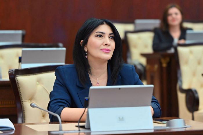 "Türk Dünyası Həftəsində irəli sürülən ideyalar gələcəkdə türk dövlətləri arasında daha güclü həmrəyliyin və strateji tərəfdaşlığın formalaşmasına mühüm töhfə verə bilər" - MÜSAHİBƏ - Elnarə AKİMOVA