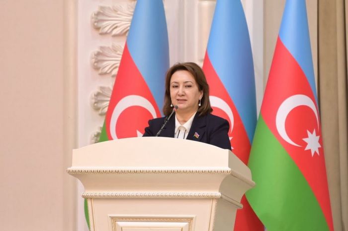 Bir əsrlik ideya, müasir reallıq: Türk dünyasının inteqrasiya modeli - Mehriban VƏLİYEVA