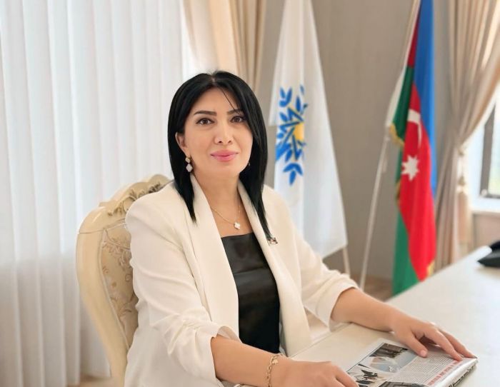 Meydan savaşımız - "Qorxutmadı bizləri yollardakı əngəl" - Elnarə AKİMOVA